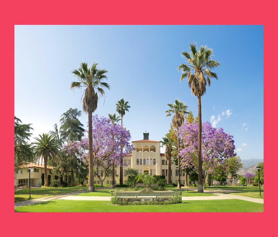 William Carey International University case study